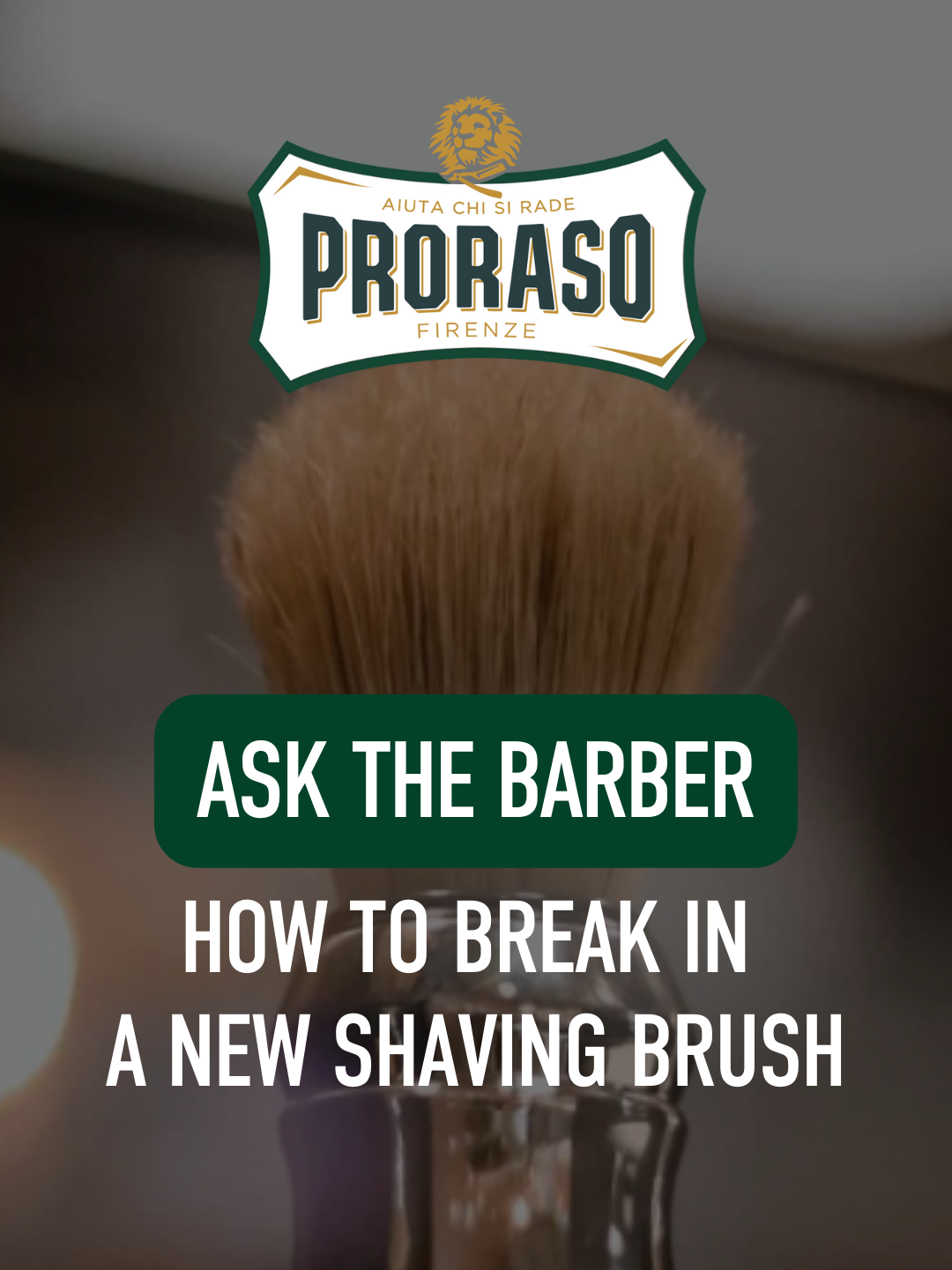 Image of Proraso Professional Shaving Brush: Click here for Ask The Barber: How to Break in a New Shaving Brush